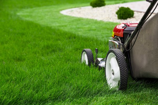 Cost of Lawn Cutting Service in Topeka