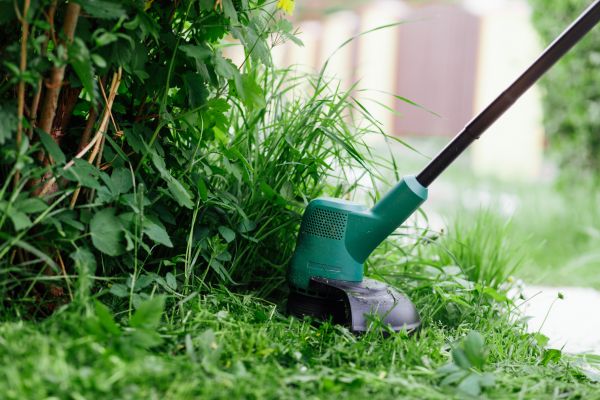 Cost of Weed Whacking in Topeka