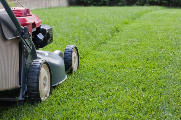 Cost of Spring Lawn Maintenance in Topeka